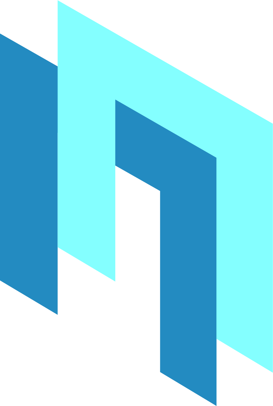N2TP logo